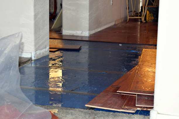 Professional Basement Flood Cleanup technician working in Orange City, IA